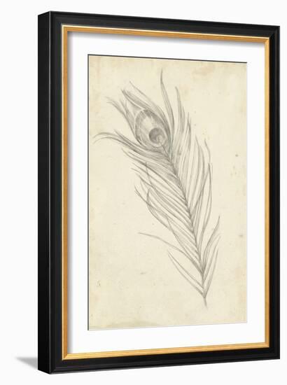 Peacock Feather Sketch I-Ethan Harper-Framed Art Print