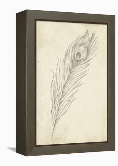 Peacock Feather Sketch II-Ethan Harper-Framed Stretched Canvas