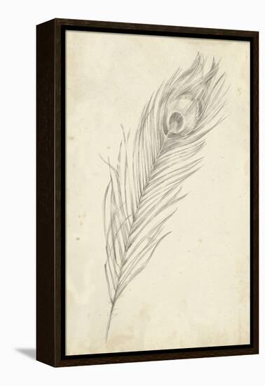 Peacock Feather Sketch II-Ethan Harper-Framed Stretched Canvas