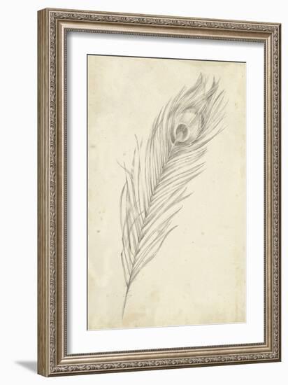 Peacock Feather Sketch II-Ethan Harper-Framed Art Print