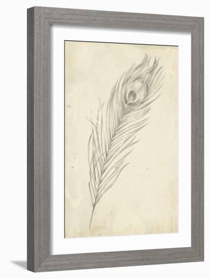 Peacock Feather Sketch II-Ethan Harper-Framed Art Print