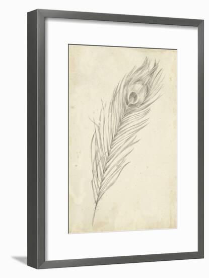 Peacock Feather Sketch II-Ethan Harper-Framed Art Print