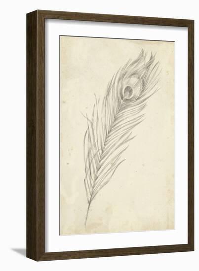 Peacock Feather Sketch II-Ethan Harper-Framed Art Print