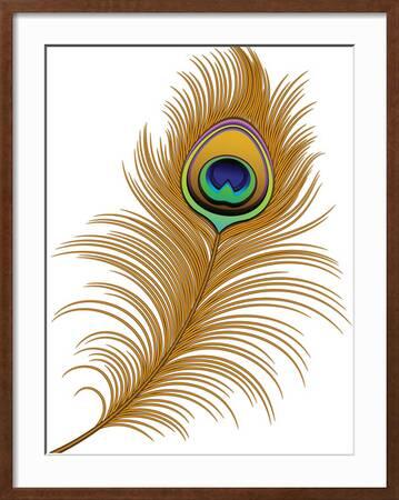 Peacock Tail Feathers Hues For sale as Framed Prints, Photos, Wall Art and  Photo Gifts