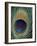 Peacock Feather-null-Framed Photographic Print