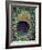 Peacock Feather-null-Framed Photographic Print