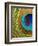 Peacock Feather-Tom Grill-Framed Photographic Print