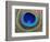 Peacock Feather-Tom Grill-Framed Photographic Print