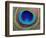 Peacock Feather-Tom Grill-Framed Photographic Print