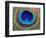 Peacock Feather-Tom Grill-Framed Photographic Print