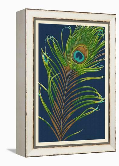 Peacock Feather-Lantern Press-Framed Stretched Canvas