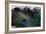 Peacock Feathers 2-Erin Berzel-Framed Photographic Print