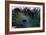 Peacock Feathers 2-Erin Berzel-Framed Photographic Print