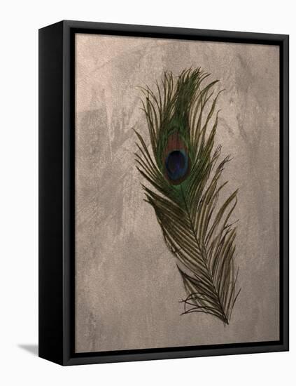 Peacock Feathers II-Natasha Wescoat-Framed Premier Image Canvas