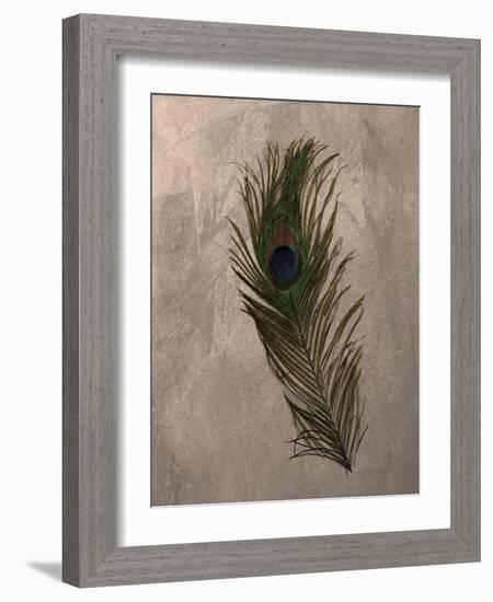 Peacock Feathers II-Natasha Wescoat-Framed Giclee Print