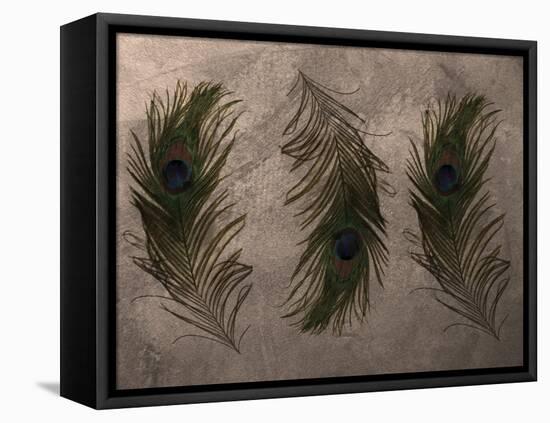 Peacock Feathers III-Natasha Wescoat-Framed Premier Image Canvas
