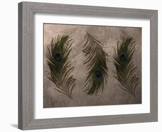 Peacock Feathers III-Natasha Wescoat-Framed Giclee Print