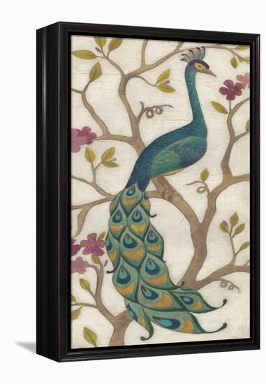 Peacock Fresco I-June Erica Vess-Framed Stretched Canvas