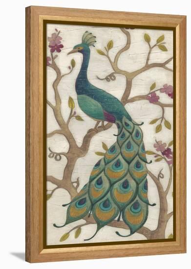 Peacock Fresco II-June Erica Vess-Framed Stretched Canvas