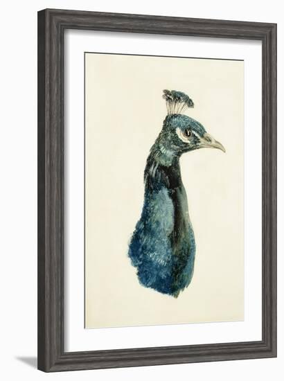 Peacock, from the Farnley Book of Birds, C.1816-J. M. W. Turner-Framed Giclee Print