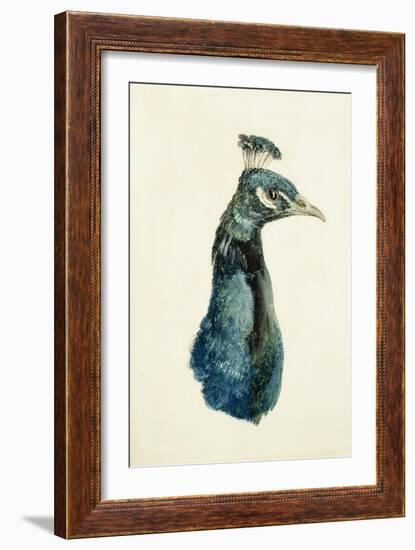 Peacock, from the Farnley Book of Birds, C.1816-J. M. W. Turner-Framed Giclee Print