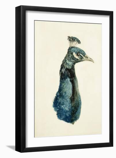 Peacock, from the Farnley Book of Birds, C.1816-J. M. W. Turner-Framed Giclee Print