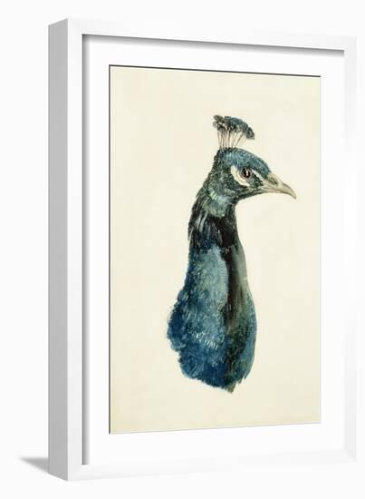 Peacock, from the Farnley Book of Birds, C.1816-J. M. W. Turner-Framed Giclee Print