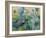 Peacock Garden White Flowers-Silvia Vassileva-Framed Art Print