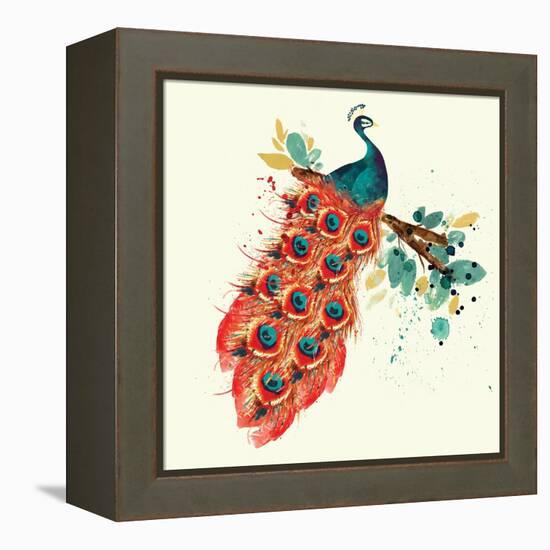 Peacock I-Sara Berrenson-Framed Stretched Canvas