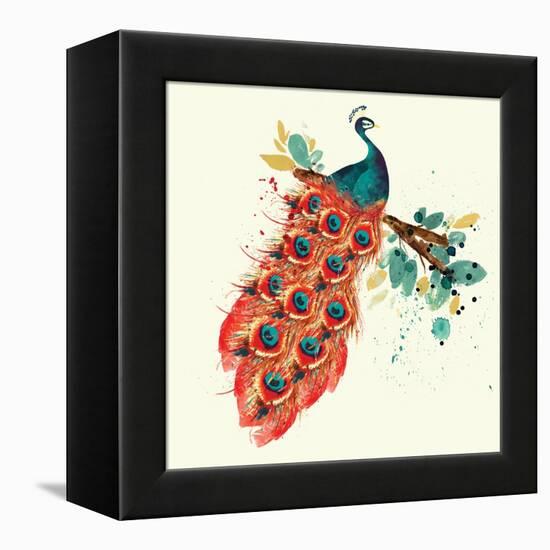 Peacock I-Sara Berrenson-Framed Stretched Canvas