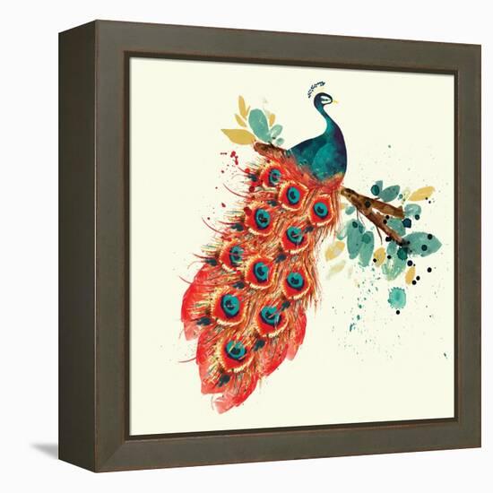 Peacock I-Sara Berrenson-Framed Stretched Canvas