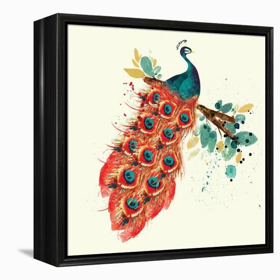 Peacock I-Sara Berrenson-Framed Stretched Canvas