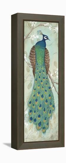 Peacock I-Steve Leal-Framed Stretched Canvas