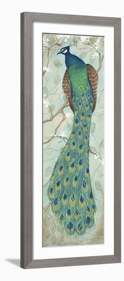 Peacock II-Steve Leal-Framed Art Print