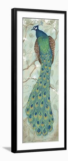 Peacock II-Steve Leal-Framed Art Print