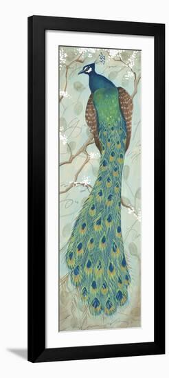 Peacock II-Steve Leal-Framed Art Print
