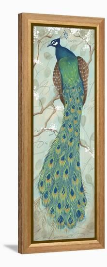 Peacock II-Steve Leal-Framed Stretched Canvas