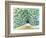 Peacock in San Diego 2, 2013-Nancy Moniz-Framed Photographic Print