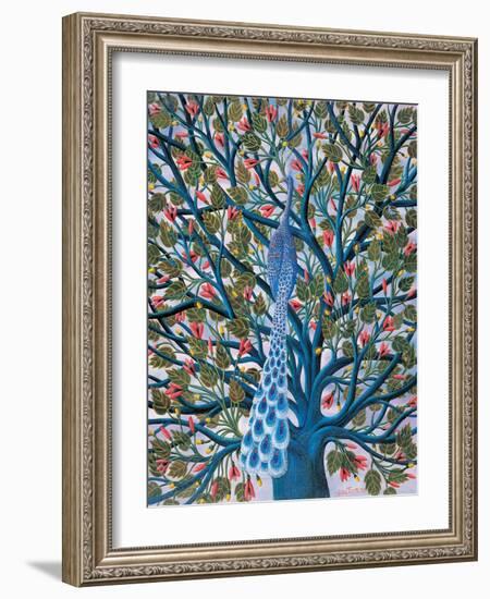 Peacock in Tree-Tamas Galambos-Framed Giclee Print