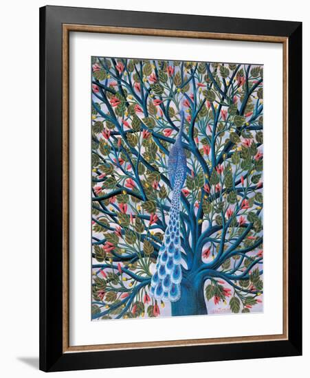 Peacock in Tree-Tamas Galambos-Framed Giclee Print