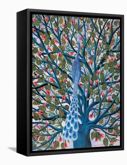 Peacock in Tree-Tamas Galambos-Framed Premier Image Canvas