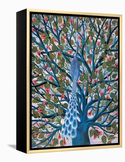 Peacock in Tree-Tamas Galambos-Framed Premier Image Canvas