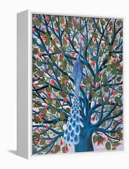 Peacock in Tree-Tamas Galambos-Framed Premier Image Canvas