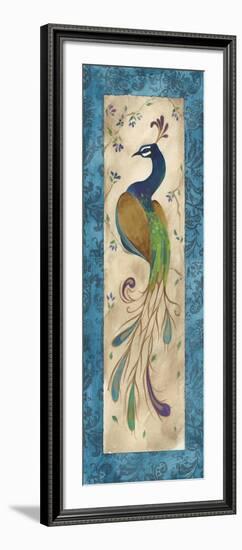 Peacock IV-Steve Leal-Framed Art Print