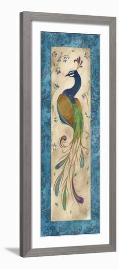 Peacock IV-Steve Leal-Framed Art Print