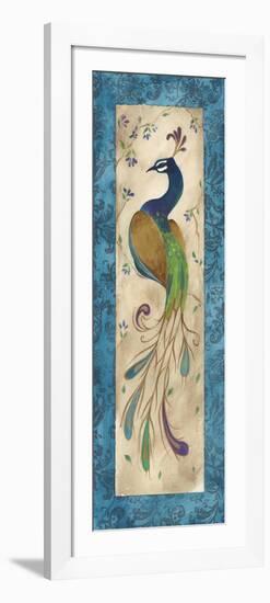 Peacock IV-Steve Leal-Framed Art Print
