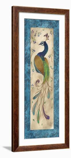 Peacock IV-Steve Leal-Framed Art Print