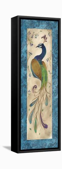 Peacock IV-Steve Leal-Framed Stretched Canvas