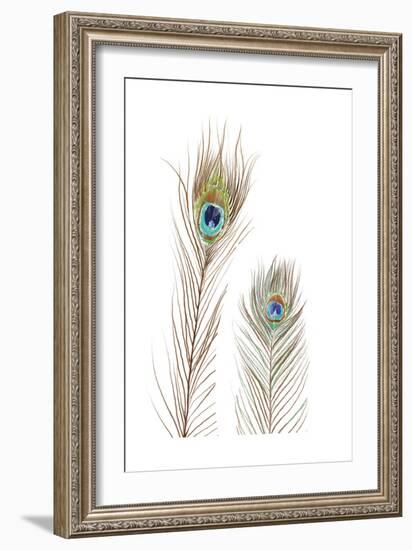 Peacock Love 1-Boho Hue Studio-Framed Art Print