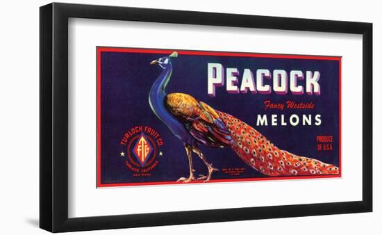 Peacock Melons-J^H^ Smith-Framed Art Print